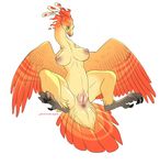  2016 anus areola avian big_breasts bird breasts claws english_text feathered_wings feathers female hi_res nipples nude orange_feathers phoenix pink_nipples plump_labia pussy qwertydragon red_feathers semi-anthro signature solo spread_legs spreading text toe_claws wings yellow_feathers 