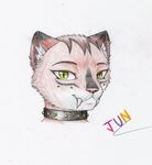  collar female fur jun_rasenfox sabertooth_(disambiguation) solo tagme 