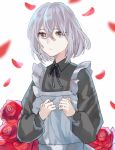  1boy androgynous apron black_ribbon bob_cut closed_mouth collared_shirt crossdressing crossed_bangs expressionless falling_petals flower grey_apron grey_eyes grey_hair grey_shirt hair_between_eyes hands_up honebami_toushirou long_sleeves looking_at_viewer maid male_focus medium_hair motion_blur neck_ribbon petals red_flower red_rose ribbon rose shirt solo touken_ranbu ueruko upper_body white_background 