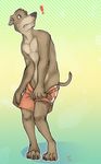  anthro canine clothing dog green_eyes greyhound kwikdog male mammal sherbert solo 