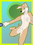  anthro balls canine dog green_eyes greyhound kwikdog male mammal nude open_mouth penis rika solo standing 