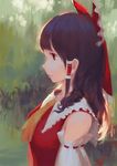  ascot bare_shoulders brown_hair closed_mouth day detached_sleeves expressionless hair_ribbon hair_tubes hakurei_reimu jq lips long_hair outdoors profile red_eyes red_vest ribbon ribbon-trimmed_sleeves ribbon_trim solo touhou upper_body vest 