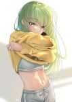  1girl absurdres blush breasts budgiepon c.c. clothes_lift code_geass commentary covered_mouth cowboy_shot crossed_arms crossed_bangs dolphin_shorts english_commentary eyelashes eyes_visible_through_hair green_hair grey_shorts hair_between_eyes hands_up highres lifted_by_self long_hair looking_at_viewer medium_breasts midriff navel nose scar scar_on_stomach shorts sidelighting signature simple_background solo sports_bra stomach straight_hair sweater sweater_lift very_long_hair white_background yellow_eyes yellow_sweater 