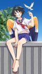  1boy androgynous animal anklet barefoot between_legs bird bird_boy bird_tail bird_wings black_eyes black_hair blue_sailor_collar blue_shorts blue_sky feathered_wings full_body grin hair_between_eyes hand_between_legs hand_up jewelry looking_at_viewer male_focus neckerchief orange_wings original outdoors red_nails red_neckerchief rramarukun sailor sailor_collar shirt short_hair short_sleeves shorts sitting sky smile solo tail tree white_shirt wind wings 