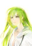 1other androgynous closed_mouth enkidu_(fate) fate/grand_order fate_(series) green_eyes green_hair long_hair looking_at_viewer robe simple_background solo tomatika upper_body white_background white_robe 