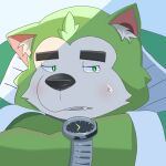 anthro blush canid canine canis clock domestic_dog eyebrows fur green_body green_eyes green_fur hi_res lifewonders live_a_hero male mammal mokdai overweight solo thick_eyebrows toto3_official watch wristwatch