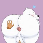 2022 absurd_res ambiguous_gender anal anthro anus ball_fondling balls bear bent_over big_butt black_nose blush butt butt_grab cartoon_network colossalstars digital_media_(artwork) disembodied_hand disembodied_tongue duo eyes_closed fondling fur genitals hand_on_balls hand_on_butt heart_symbol hi_res ice_bear_(we_bare_bears) looking_pleasured male mammal oral polar_bear purple_background rear_view rimming sex short_tail simple_background tail thick_thighs tongue tongue_out ursine we_bare_bears white_body white_ears white_fur white_tail