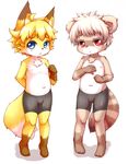  blue_eyes bulge canine clothed clothing cub cute duo fox fur kasasagi male mammal orange_fur raccoon red_eyes shorts topless white_fur young 