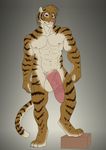  feline hyper kato kurin male mammal nude presenting standing tiger 