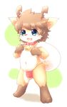  anthro bell bulge cervine clothing collar cub fur green_eyes kasasagi male mammal open_mouth orange_fur reindeer sack simple_background solo underwear white_fur young 