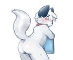  anthro arcc backsack balls blush butt canine collar cub fox looking_back male mammal nude open_mouth raised_tail rear_view solo surprise towel wet young 