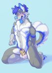 animal_genitalia anthro balls belly blue_background blue_body blue_eyes blue_fur blue_hair blue_nipples blue_nose blue_pawpads blue_penis blush bodily_fluids canid canine canis chastity_cage chastity_cage_only chastity_device chastity_device_only chest_tuft claws digitigrade domestic_dog fluffy fluffy_tail front_view fur genital_fluids genitals gold_(metal) gold_chastity_cage gold_chastity_device grey_body grey_fur hair happy head_tilt hi_res husky kneeling male mammal multicolored_body multicolored_fur nipples nordic_sled_dog nude pawpads paws penis penis_tip pinup pose precum precum_string presenting raised_tail sheath sheath_cage signature simple_background solo spitz tail toe_claws tongue tongue_out tuft vesrin white_belly