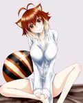  animal_ears antenna_hair blazblue blush breasts brown_hair chukachuka cleavage head_tilt highres large_breasts long_sleeves looking_at_viewer makoto_nanaya multicolored_hair on_bed orange_eyes shirt short_hair sitting smile solo squirrel_ears squirrel_tail tail two-tone_hair 