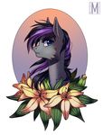  black_hair blue_eyes equine eyelashes fan_character female feral fur grey_fur hair inner_ear_fluff looking_at_viewer mammal margony my_little_pony purple_hair solo 