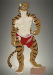  briefs clothing feline hyper kato kurin male mammal presenting standing tiger underwear 