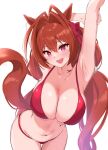  1girl animal_ears arm_up armpits bare_shoulders bikini blush breasts brown_hair cleavage collarbone daiwa_scarlet_(umamusume) hair_intakes horse_ears horse_girl horse_tail large_breasts long_hair looking_at_viewer murio navel open_mouth red_bikini red_eyes smile solo swimsuit tail thighs twintails umamusume very_long_hair 