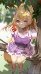  1girl absurdres animal_ear_fluff animal_ears apple blonde_hair blurry blurry_background bow breasts buttons closed_mouth commission dress erica_tamamo falling_leaves food fruit highres holding holding_food holding_fruit horse_ears horse_girl indie_virtual_youtuber k_(art71) leaf long_hair loose_socks pinafore_dress purple_bow purple_dress purple_eyes purple_footwear purple_hair shirt sitting_on_branch skeb_commission sleeveless sleeveless_dress smile socks solo sparkle virtual_youtuber white_shirt 