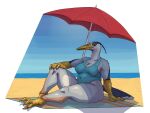  absurd_res anthro avian beach beak bird claws female hi_res navel overweight shade_(disambiguation) sky solo towel umbrella zed-s 
