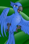  avian bird jewel_(rio) macaw open_mouth parrot pussy rio 