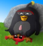  2022 anal angry_birds anthro avian balls bird black_body blue_eyes bomb_(angry_birds) brown_eyes duo eyebrows genitals grass hi_res looking_at_another looking_down male male/male open_mouth oral penis pinned pinned_to_ground plant red_(angry_birds) red_body rick25 rimming rock rovio_entertainment sega sex the_angry_birds_movie thick_eyebrows tongue 