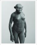  abs anatomically_correct anatomically_correct_genitalia areola australopithecus breasts female genitals humanoid lips lucy_(australopithecus) monochrome muscular navel nipples photorealism unknown_artist wrinkles 