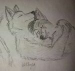  anthro canid canine canis duo fox hug hybrid male male/male mammal romantic romantic_couple shadel shadel_fox shadelfox sleeping wolf wolfdog wolfdog_white_wolf wolfdog_whitewolf 