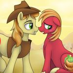  2016 blush braeburn_(mlp) clothed clothing cloud conscious-aberration cowboy_hat cutie_mark duo earth_pony equine eye_contact feral friendship_is_magic fur hair hat horse jacket landscape male mammal my_little_pony orange_hair outside pony red_fur sky smile tan_fur 