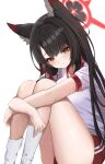  1girl absurdres animal_ear_fluff animal_ears black_hair blue_archive blush closed_mouth eyeshadow fox_ears gym_shirt gym_shorts gym_uniform halo highres long_hair looking_at_viewer makeup muang_(muang_vrc) red_eyeshadow red_halo red_shorts shirt short_sleeves shorts simple_background socks solo wakamo_(blue_archive) white_background white_shirt white_socks yellow_eyes 