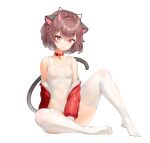  1girl animal_collar animal_ear_hairband animal_ears artist_request bare_shoulders bell belt_collar between_legs black_tail breasts brown_hair cat_ear_hairband cat_ears cat_tail check_artist chestnut_mouth collar collarbone covered_navel crossed_bangs fake_animal_ears feet full_body hair_between_eyes hair_flaps hairband hand_between_legs highleg highleg_one-piece_swimsuit highleg_swimsuit highres jacket jingle_bell keibeam knee_up light_blush looking_at_viewer mole mole_on_breast mole_under_eye neck_bell no_shoes off_shoulder one-piece_swimsuit original prunechi puffy_short_sleeves puffy_sleeves raised_eyebrows red_collar red_eyes red_jacket short_hair short_sleeves simple_background sitting skindentation small_breasts solo swimsuit tail thighhighs toes white_background white_one-piece_swimsuit white_thighhighs 