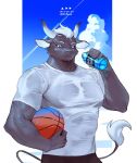anthro ball black_body black_fur bodily_fluids bottle bovid bovine cattle clothing container fur hair holding_ball holding_basketball holding_bottle holding_container holding_object horn looking_at_viewer male mammal muscular muscular_anthro muscular_male sd_planb shirt sky solo sweat t-shirt tail topwear white_hair