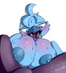  anthro avian big_breasts bird blue_eyes blue_feathers blush breasts cocos_cabin_(artist) duo feathers female male male/female nipples open_mouth saliva sex simple_background sweat titfuck tongue tweetfur twitter white_background 