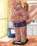  2019 absurd_res anthro belly brown_fur bulge canine clothing dog fur hi_res humanoid_hands male mammal moobs nipples overweight overweight_male royalsobatya solo underwear 