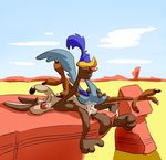 anthro avian bird canine coyote duo looney_tunes male mammal penetration roadrunner roadrunner_(looney_tunes) sex warner_brothers wile_e._coyote yamamoto 