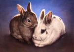  brown_fur digital_media_(artwork) duo feral fur johis lagomorph licking looking_at_viewer mammal painting quadruped rabbit realistic sitting snout tongue tongue_out whiskers white_fur 