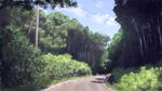  cloud commentary_request day highres no_humans original outdoors power_lines road rural scenery sky tree tsuruzen 