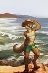  2016 anthro beach black_nose brown_eyes brown_fur brown_hair clothed clothing detailed_background digitigrade fur hair hat looking_at_viewer lukiri male mammal mustelid one_eye_closed otter seaside shoreline smile solo tan_fur topless water 