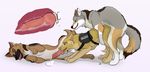  all_fours anatomically_correct balls bound canine cum dirty.paws dog doggystyle ejaculate feral from_behind_position german_shepherd internal knot mammal oral penetration penis police pussy sex wolf ych 