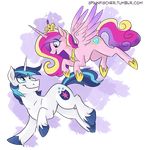  2016 duo equine female friendship_is_magic horn male mammal my_little_pony princess_cadance_(mlp) shining_armor_(mlp) sophiecabra unicorn winged_unicorn wings 