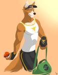  2016 absurd_res ahzi anthro athletic bag brown_fur brown_nose canine clothed clothing eyebrows fingerless_gloves fox fox_mccloud fur gloves gradient_background green_eyes hi_res holding_object looking_at_viewer male mammal multicolored_fur nintendo pok&eacute;ball pok&eacute;mon pok&eacute;mon_go shirt shorts simple_background smile solo standing star_fox tank_top team_instinct two_tone_fur video_games visor white_fur 