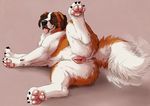  2016 anatomically_correct anatomically_correct_pussy animal_genitalia animal_pussy anus butt canine canine_pussy dog female feral fur looking_at_viewer lying mammal marjani pawpads paws presenting presenting_hindquarters presenting_pussy pussy saint_bernard simple_background solo spread_legs spreading tongue tongue_out 