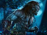  2016 abs action_pose angry animal_humanoid armband beard biceps big_muscles brown_hair canine claws clothed clothing detailed digital_media_(artwork) facial_hair fangs forest glowing glowing_eyes hair half-portrait hi_res humanoid long_hair male mammal moon muscular navel night nipples no_pupils open_mouth outside pecs scar solo sparks standing topless transformation tree unrealsmoker wallpaper were werewolf wolf wolf_humanoid 