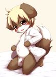  alternate_version_available anthro balls blush bottomless brown_eyes brown_fur canine clothed clothing cub cute fur kasasagi looking_at_viewer male mammal open_shirt penis simple_background solo uncensored white_background white_fur young 