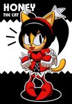  anthro black_hair cat feline female fur hair hi_res honey_the_cat long_hair mammal pigtails simple_background so0oper solo sonic_(series) text yellow_fur 