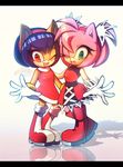  amy_rose anthro black_hair cat clothes_swap clothing dress duo feline female footwear fur gloves hair hedgehog honey_the_cat long_hair mammal rainfawn sonic_(series) yellow_fur 