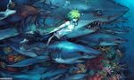  animal bangs barefoot black_pants colored_eyelashes commentary coral_reef fish fishman flock from_side gills green_hair hair_between_eyes hammerhead_shark highres looking_at_viewer male_focus monster_boy nipples original pale_skin pants sash shark shark_boy shirtless signature smirk solo swimming torn_clothes torn_pants underwater watermark web_address yi_lee 