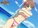  beach bikini blush breasts brown_hair bun_cover cloud crossed_arms day double_bun dress dress_lift dutch_angle green_eyes hal kanamori_reiko medium_breasts navel ocean outdoors short_hair sky solo striped striped_bikini swimsuit underboob undressing wallpaper water wrestle_angels wrestle_angels_survivor 