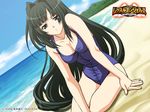  artist_request beach black_hair breasts cleavage day grey_eyes kusanagi_mikoto large_breasts long_hair one-piece_swimsuit swimsuit very_long_hair wrestle_angels wrestle_angels_survivor 