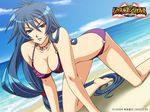  all_fours artist_request beach bikini blue_eyes blue_hair blue_sky breasts choker cloud copyright_name day jewelry large_breasts long_hair looking_at_viewer nakamori_azumi ocean outdoors sky solo swimsuit very_long_hair water wrestle_angels wrestle_angels_survivor 