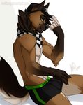  2016 5_fingers anthro black_hair brown_fur canine clothed clothing fur hair hat male mammal simple_background sitting smile solo topless underwear white_background wolf wolflady yellow_eyes 