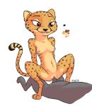  breasts cheetah felid feline female kii_catano male male/female mammal nipples sex smile tggeko 